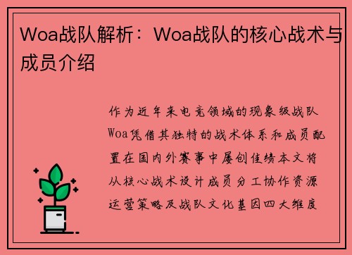 Woa战队解析：Woa战队的核心战术与成员介绍